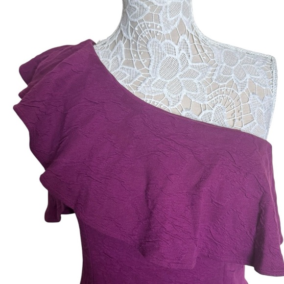 NWT Lilly Pulitzer Bordeaux One-Shoulder Dress in Amarena Cherry size 12 - Picture 3 of 8